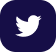 Twitter logo